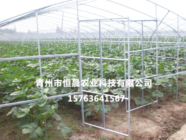 溫室骨架