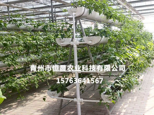 無土栽培