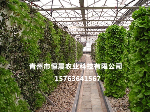無土栽培