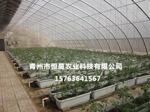 無土栽培