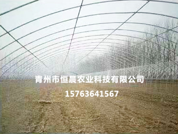 単拱溫室