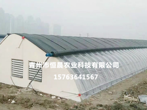 単拱溫室