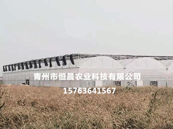 薄膜溫室