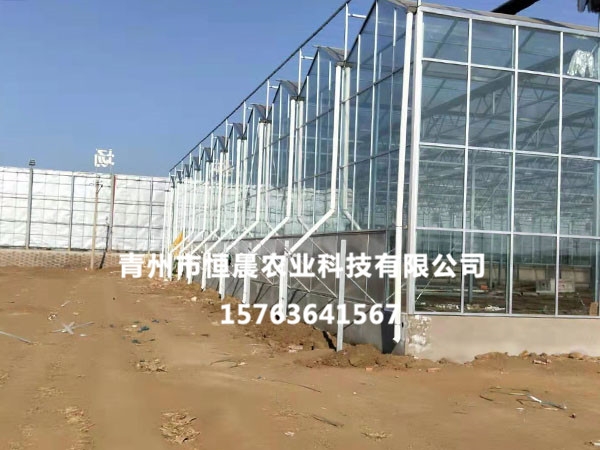 陽光板溫室